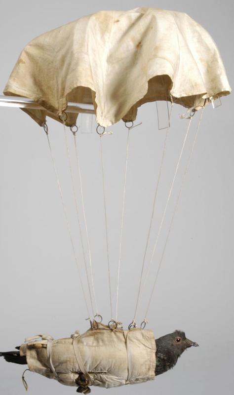 parachute.jpg