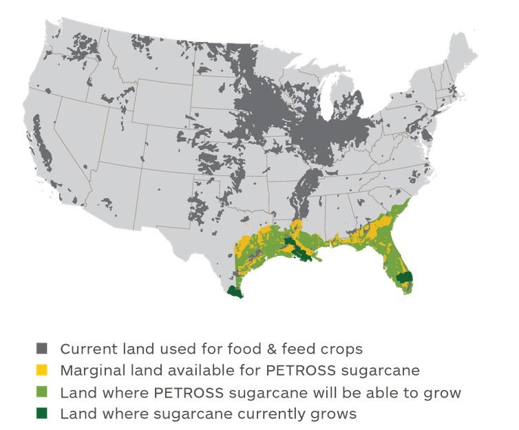 A map of the growing region of cold-tolerant lipidcane