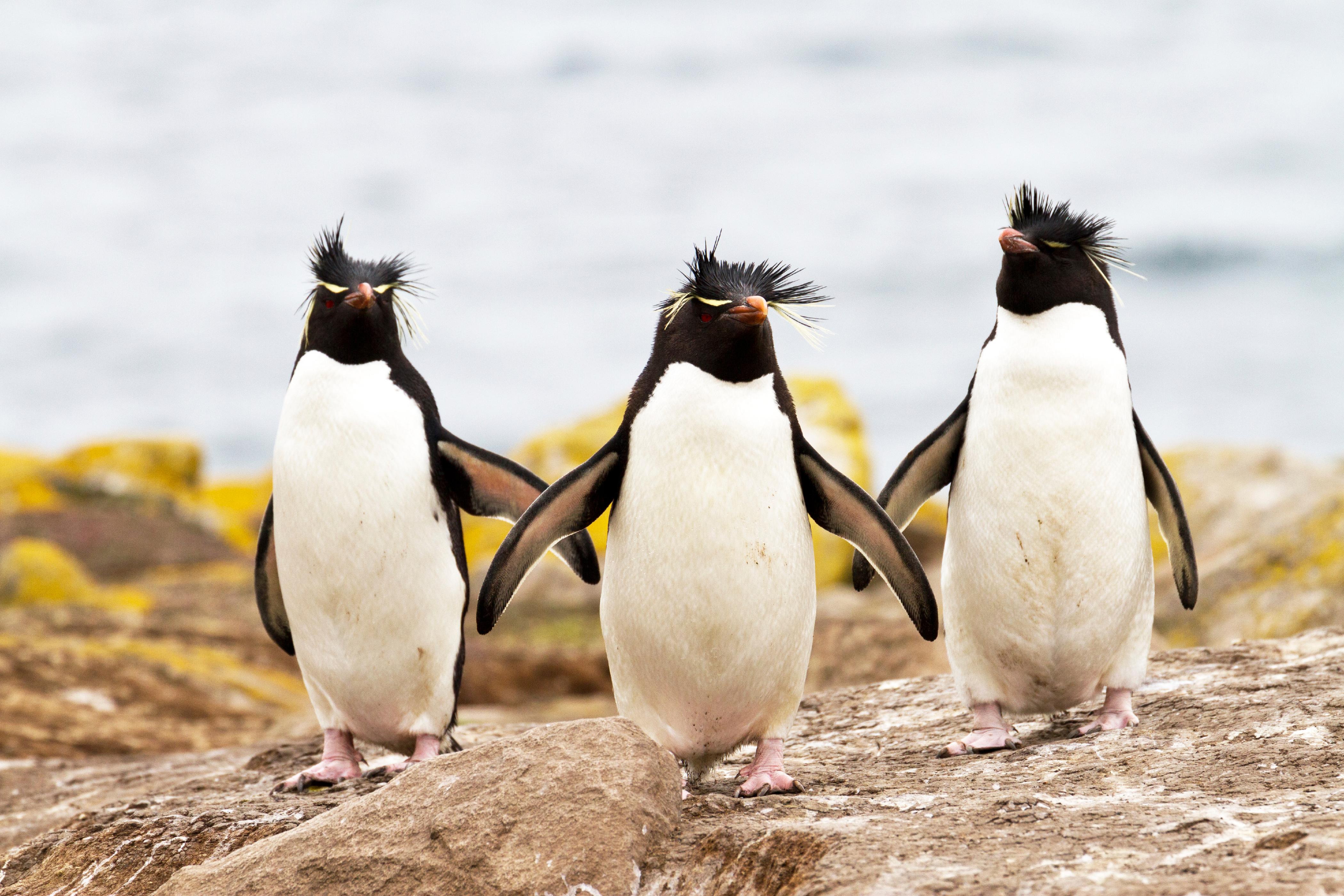 iStock_000025369737_Full.jpg