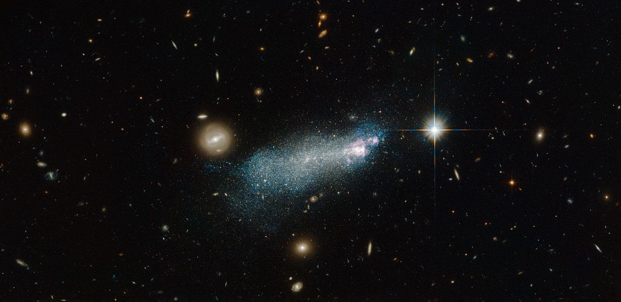 16687049219_e53888c186_o.jpg