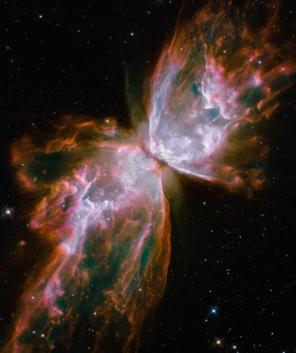 butterflynebula_thumb.jpg