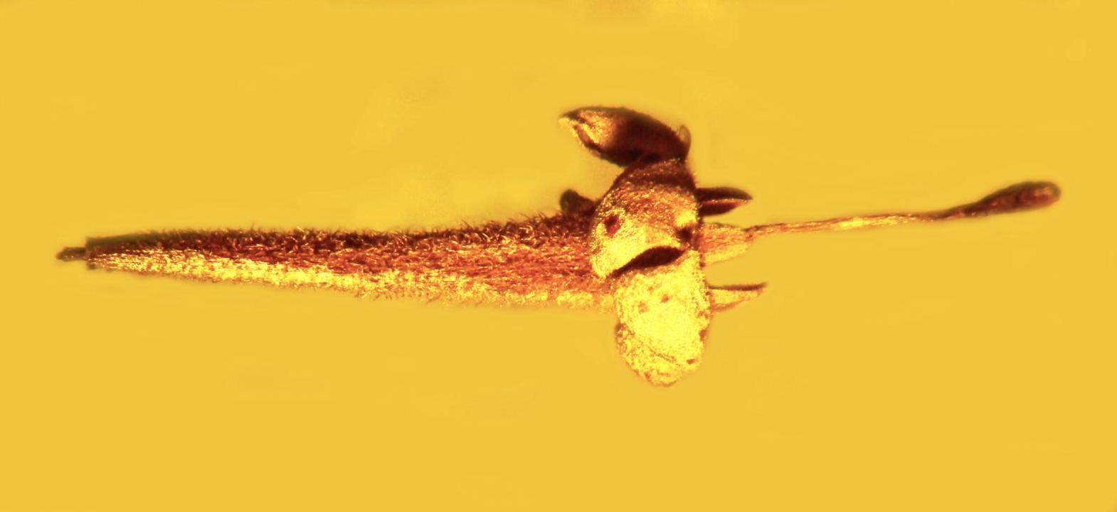 108830_web.jpg