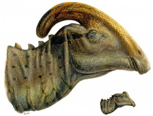 A depiction of Joe (right corner) and an adult of Joe’s species.