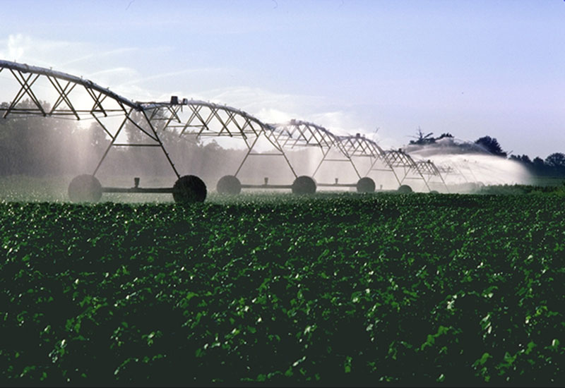 PivotIrrigationOnCotton.jpg