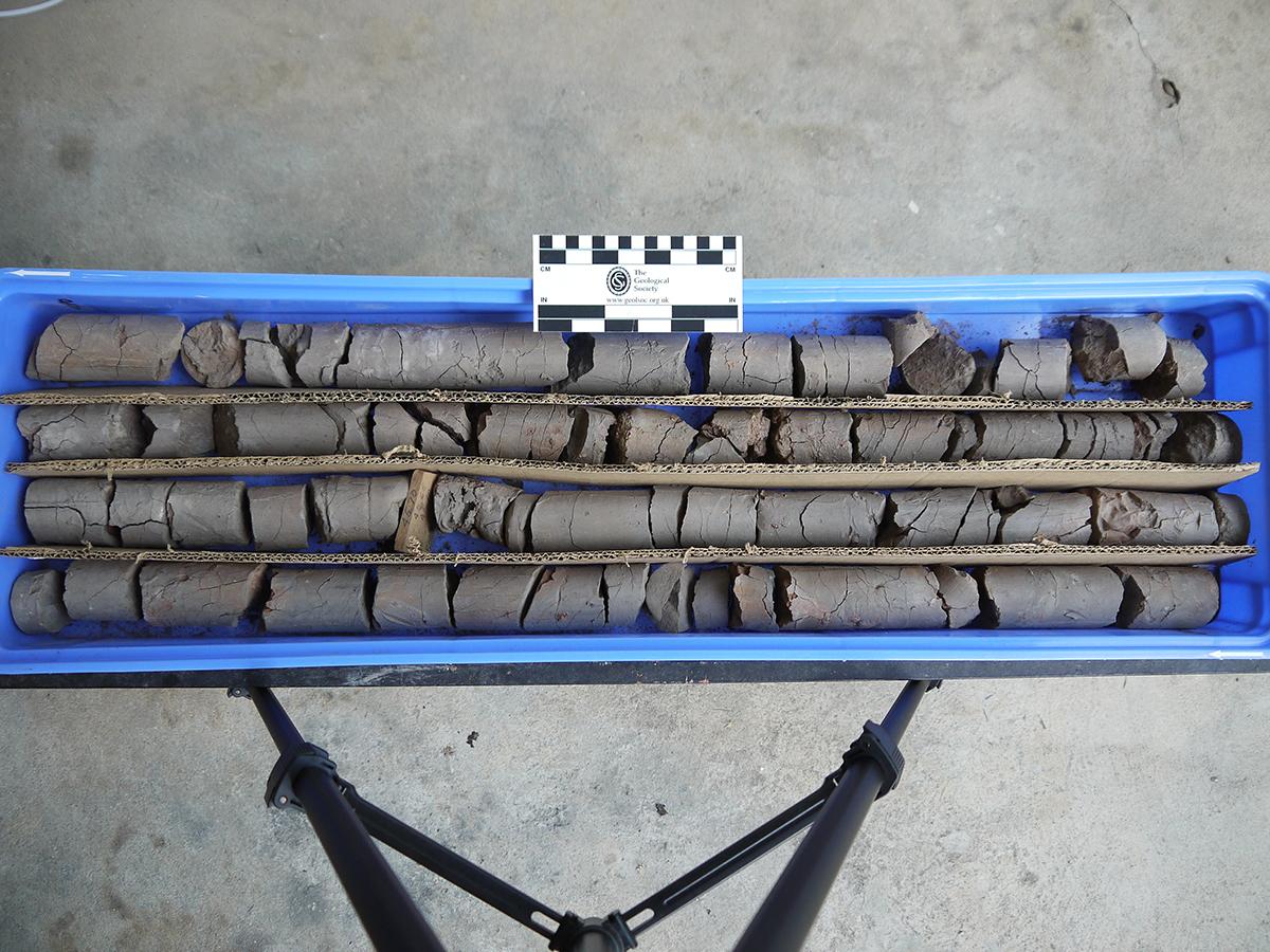 Core Samples