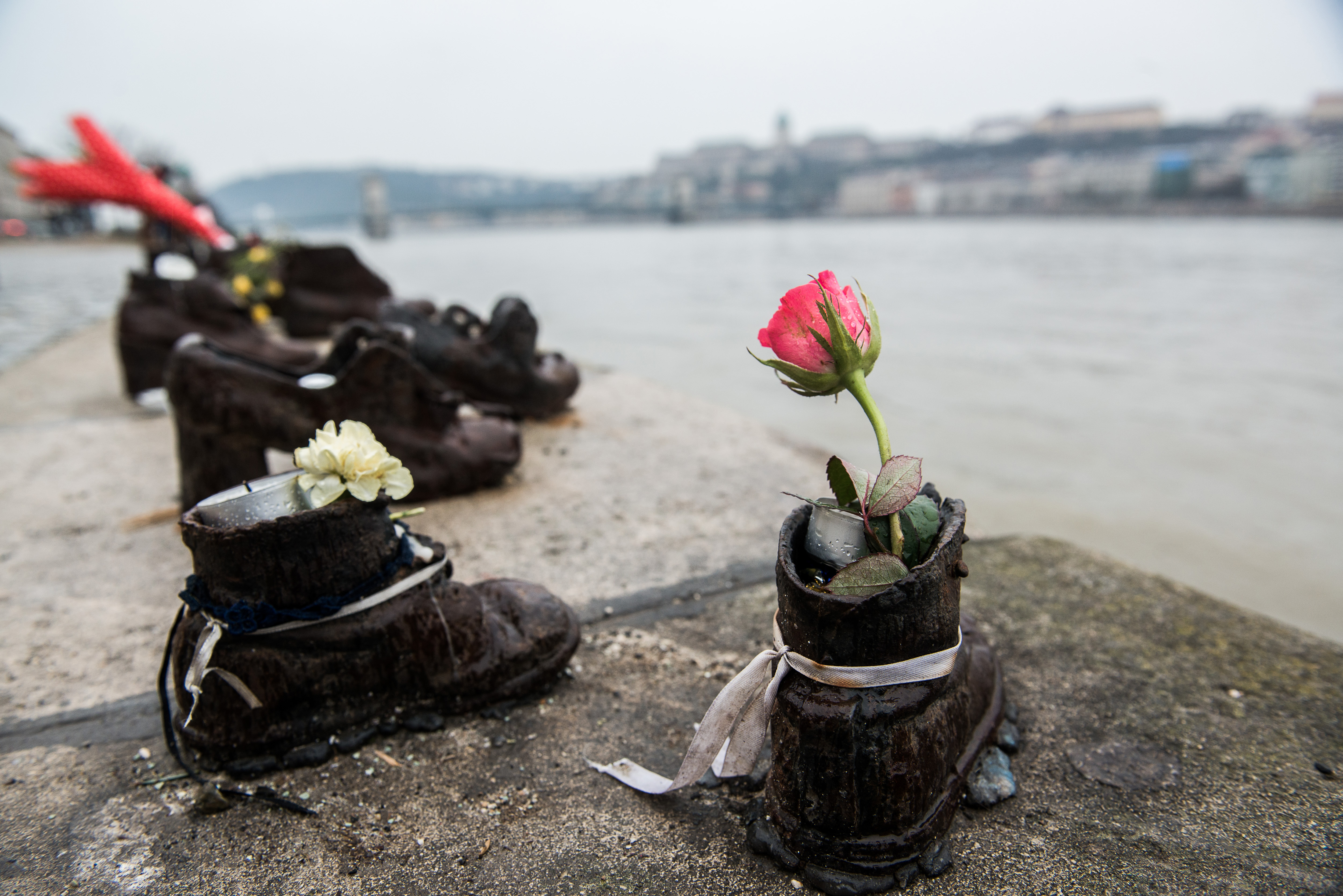 SQJ_1604_Danube_Island_06.jpg