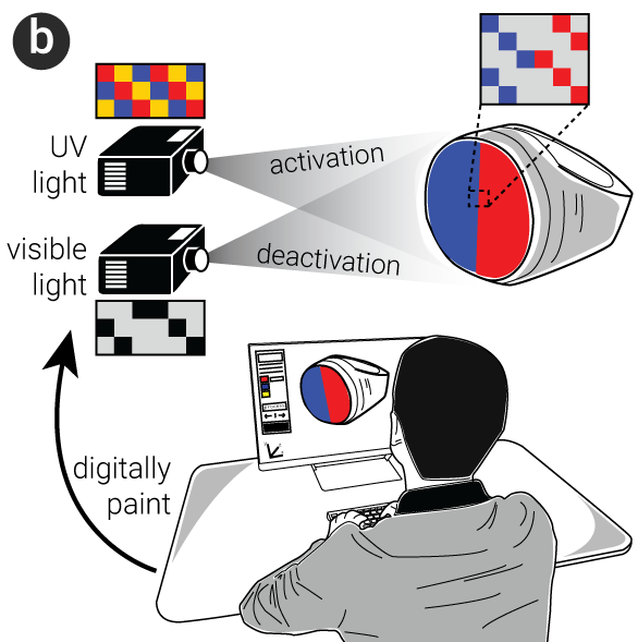 When users apply a specific color texture, only the voxels with the matching color are activated - credit MIT CSAIL.png