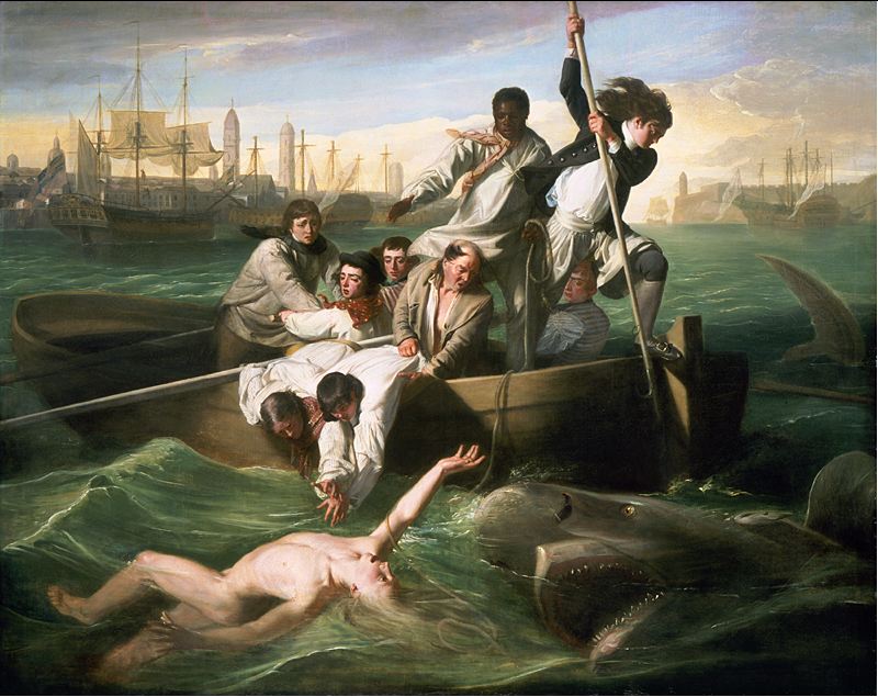 Watson and the Shark