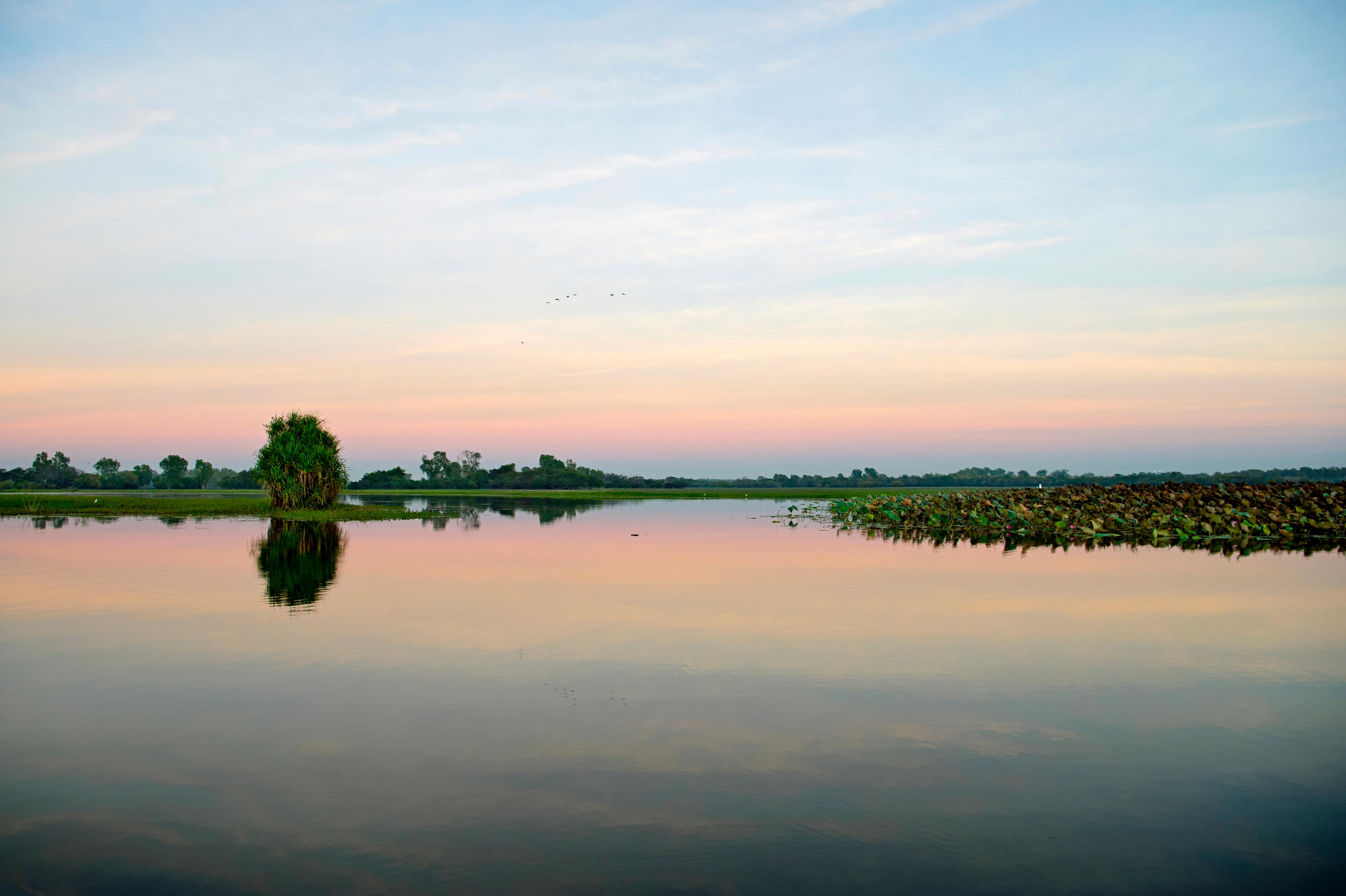 Kakadu Yellow Water.jpg