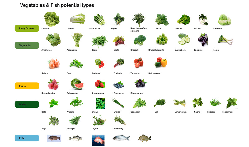 SFF_VEGETABLES_FISH_FTA_800.jpg
