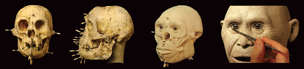 Homo floresiensis process