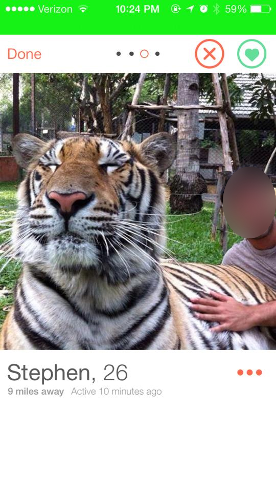 Tiger2.jpg