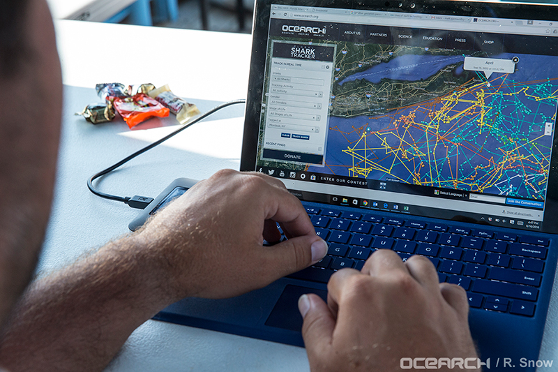 OCEARCH-shark-tracking.jpg