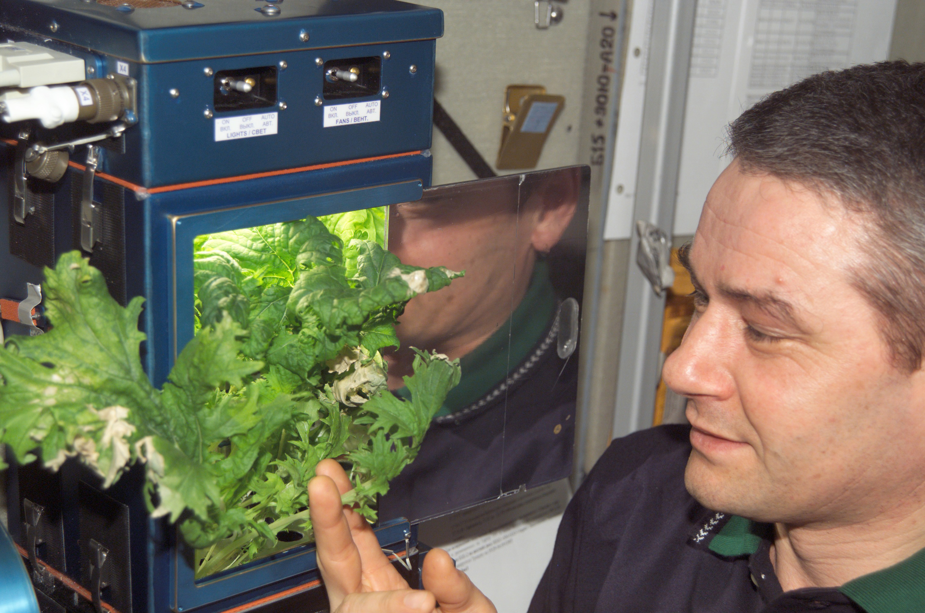 01H_SEP2015_Plants and Korzun_LIVE.jpg