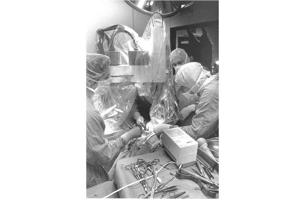 DogSurgery2WEB.jpg