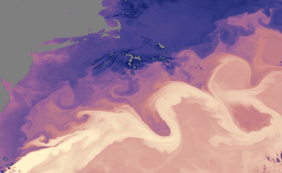 A map of the the warm waters of the Gulf Stream.