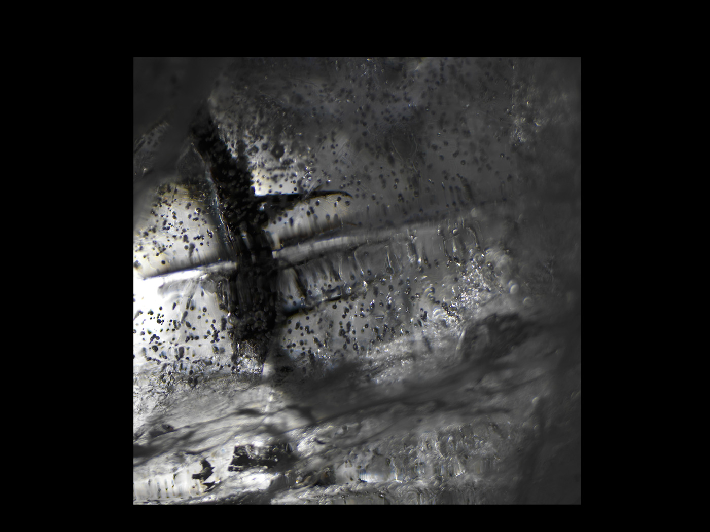 "Ossuary"de-Urals-Still-Life4516860v2_328.jpg