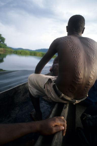Crocodile cutting of the Kaningara of Papua New Guinea