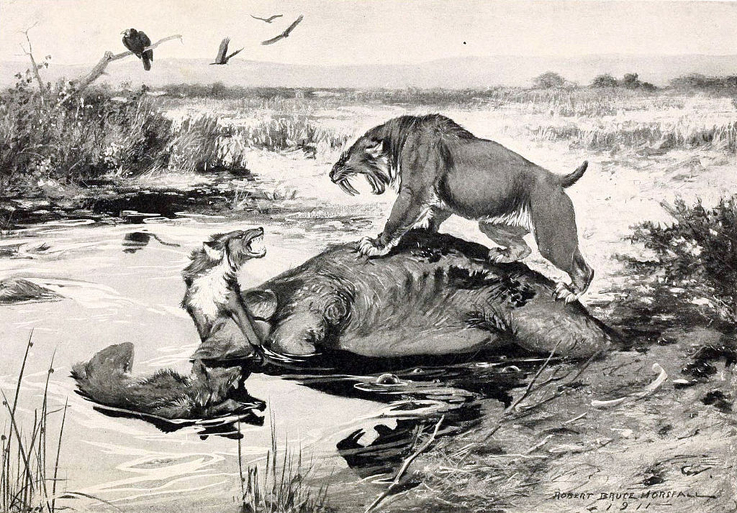 1024px-Smilodon_and_Canis_dirus.jpg