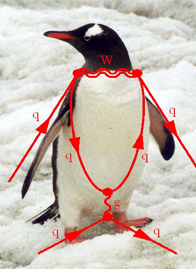 Penguin_diagram.jpg