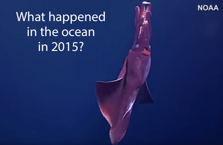 what-happened-in-2015-loop.gif