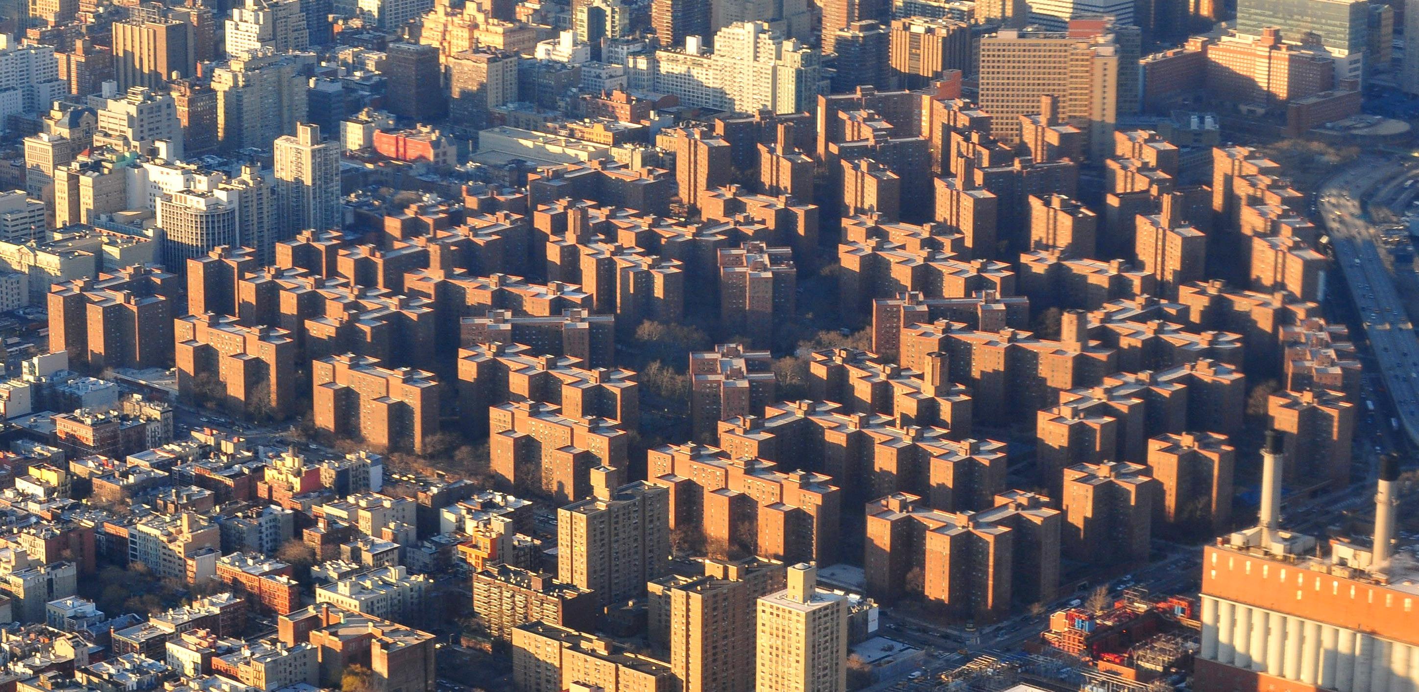 stuy.jpg