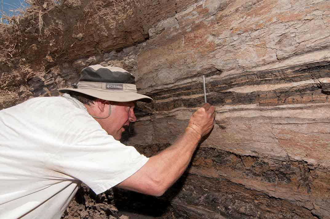 Kirk Johnson, Denver Basin