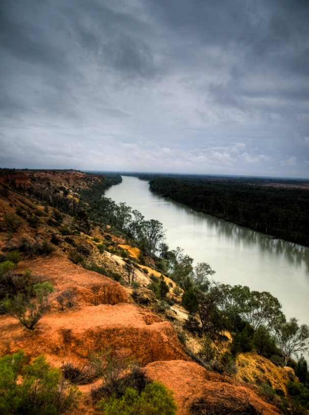 The Murray River seen from a tower in Renmark, Australia.