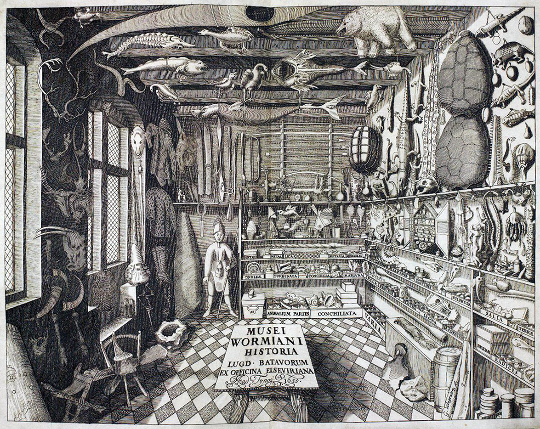 Musei_Wormiani_Historia.jpg