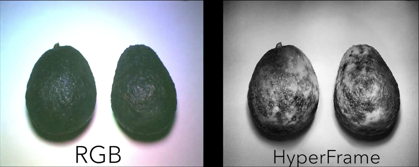 hypercam-avocado-1.jpg