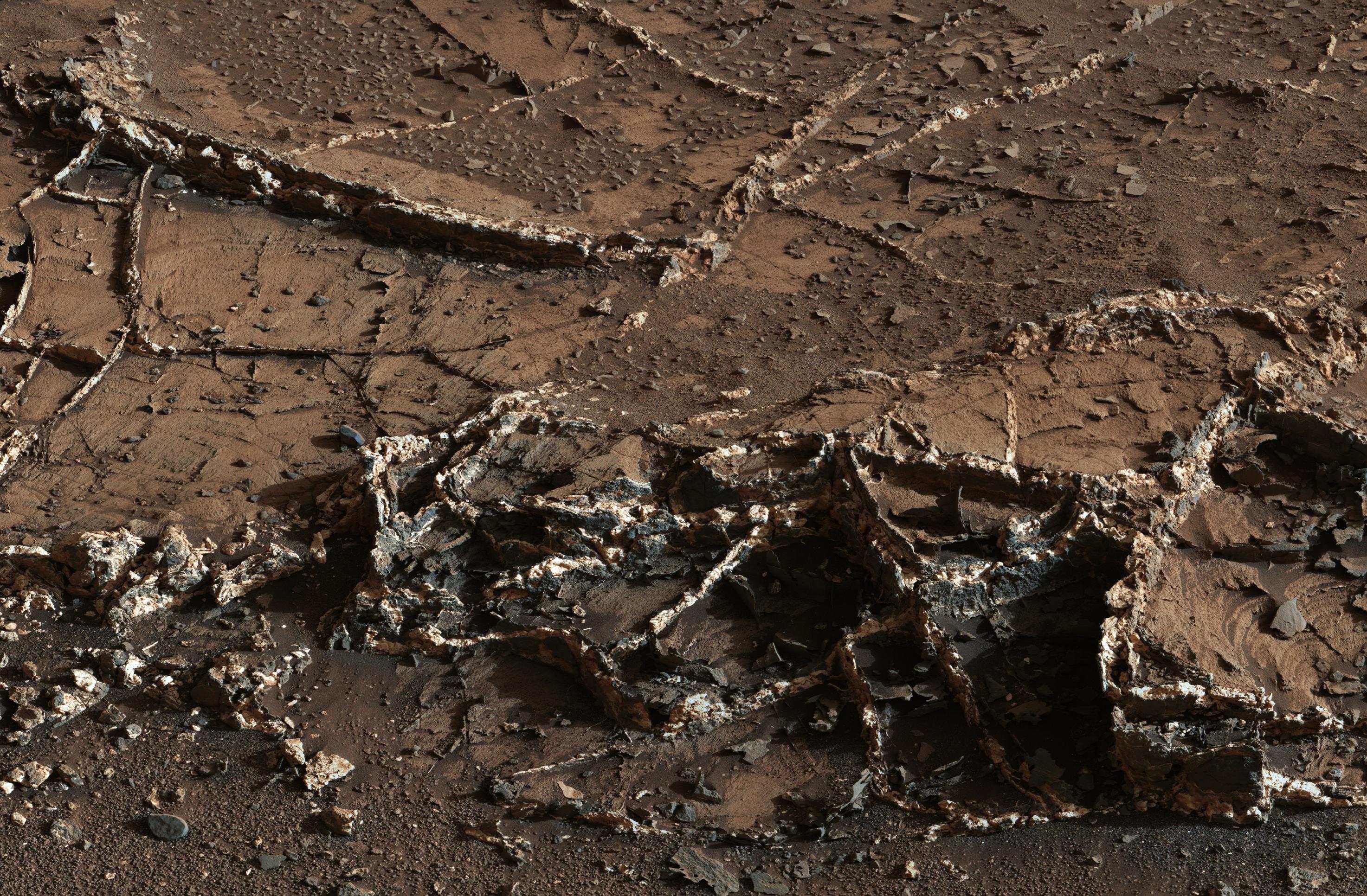 mars-veins-crop.jpg