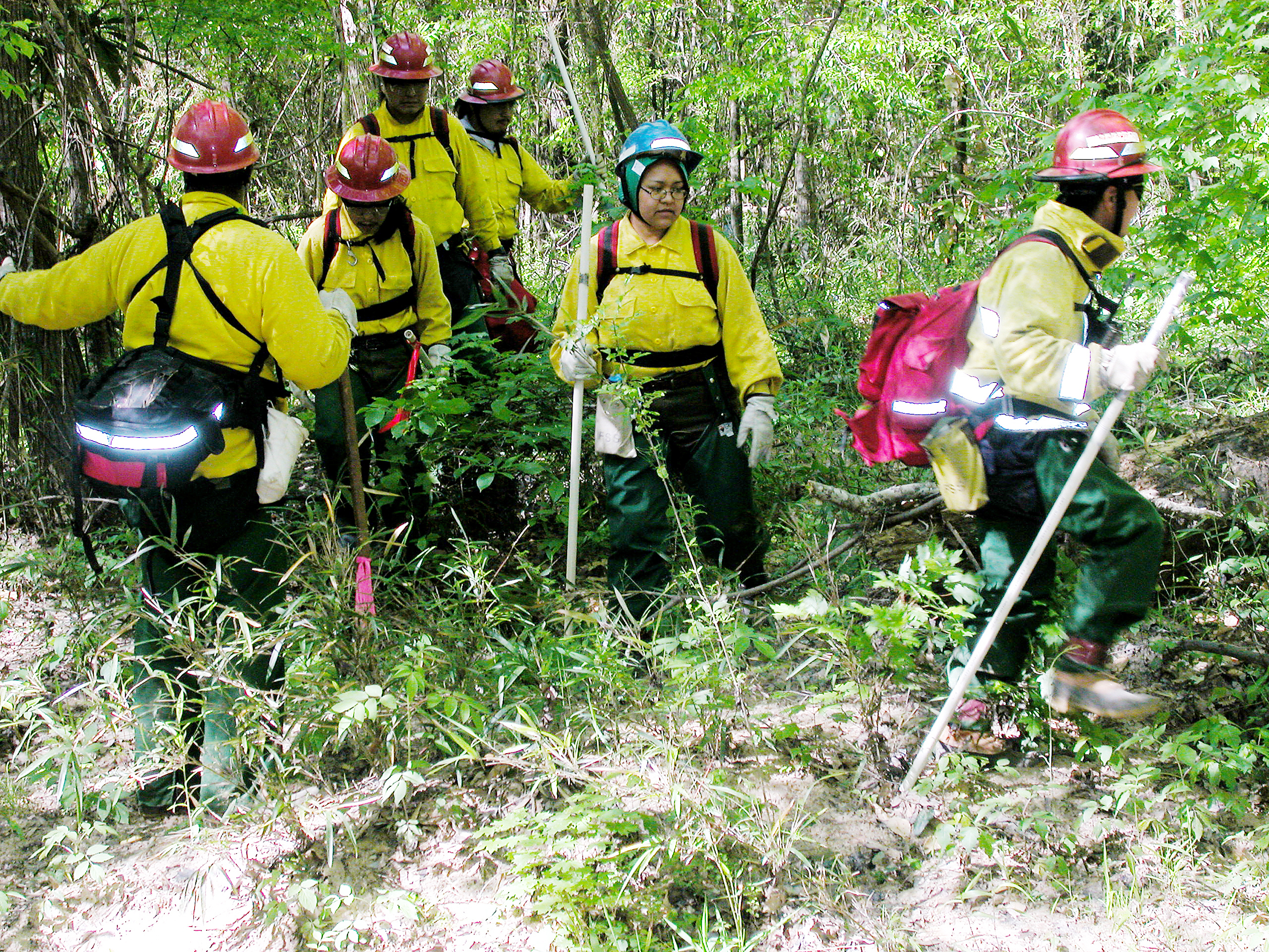 Workers_Search_for_Columbia's_Debris_-_GPN-2003-00082.jpg