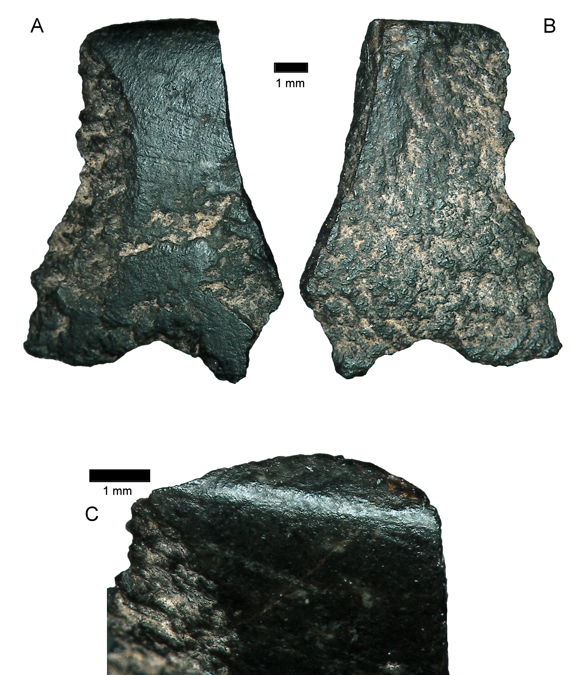 Axe flakes from the dig.jpg