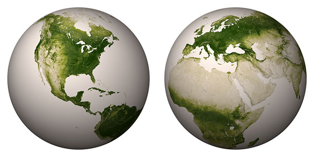 NASA-NOAA-vegetation-index-world-map.jpg