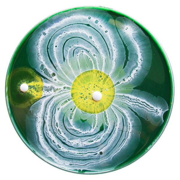 April 1, 2013: Abstraction of Daisies, by Klari Reis.