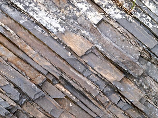 Can shale, seen above, permanently house nuclear waste in rocks far underground?