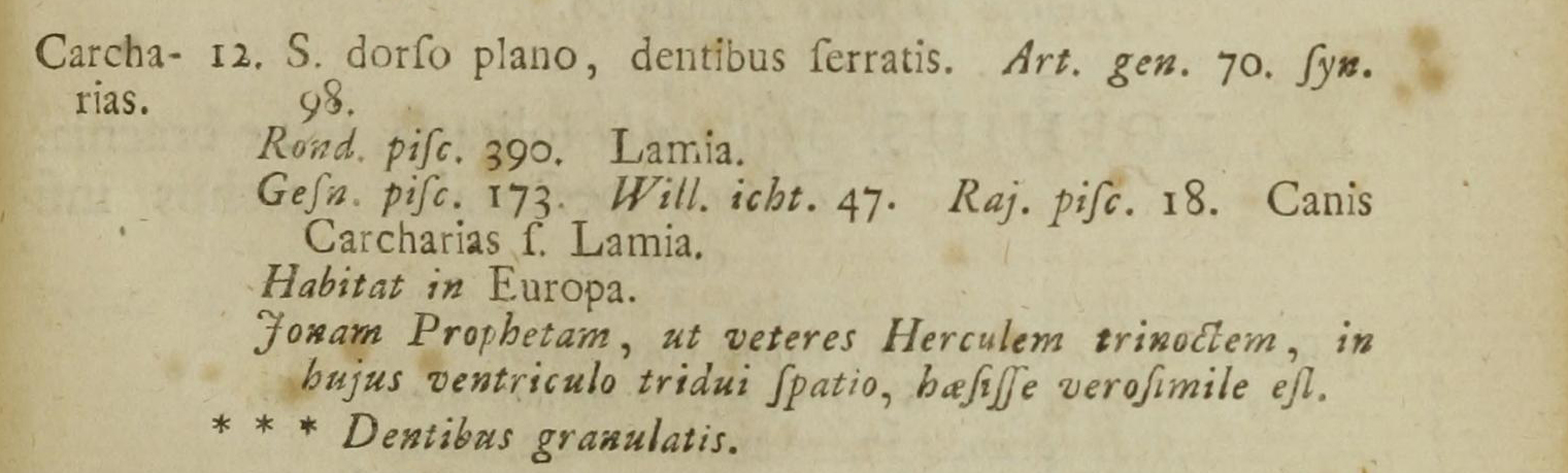 linnaeussqualus.jpg