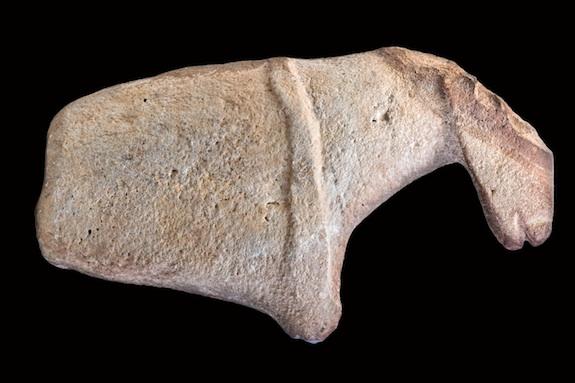 Representing part of a horse