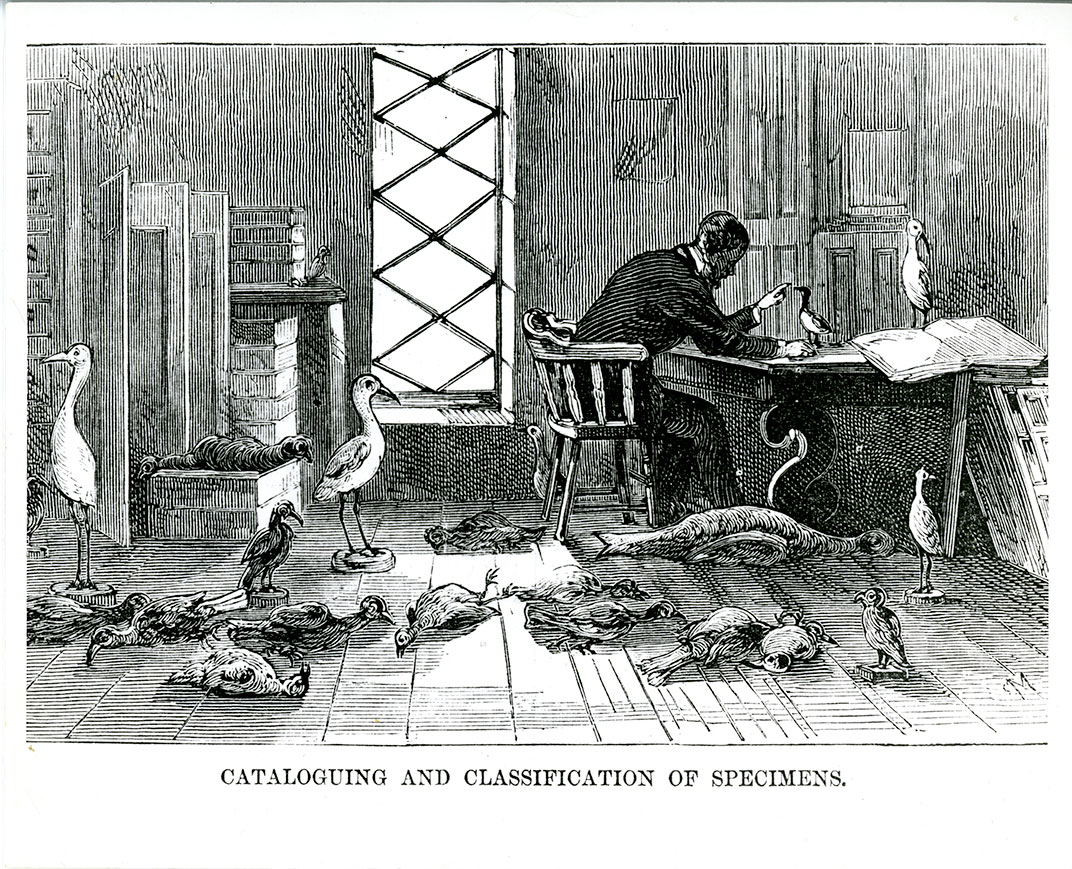 Scientist at work