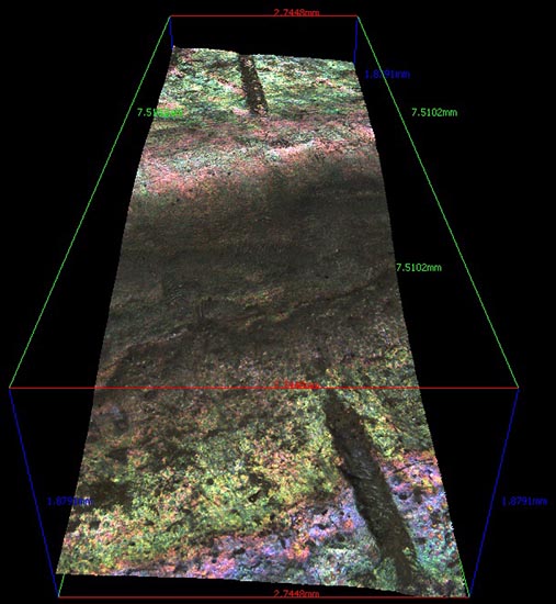 Microscope line image