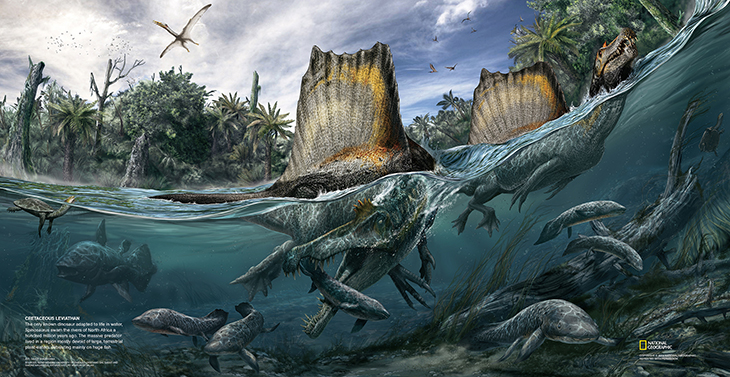 spinosaurus_ngm_102014_superjaws_108 to 110Edit.jpg