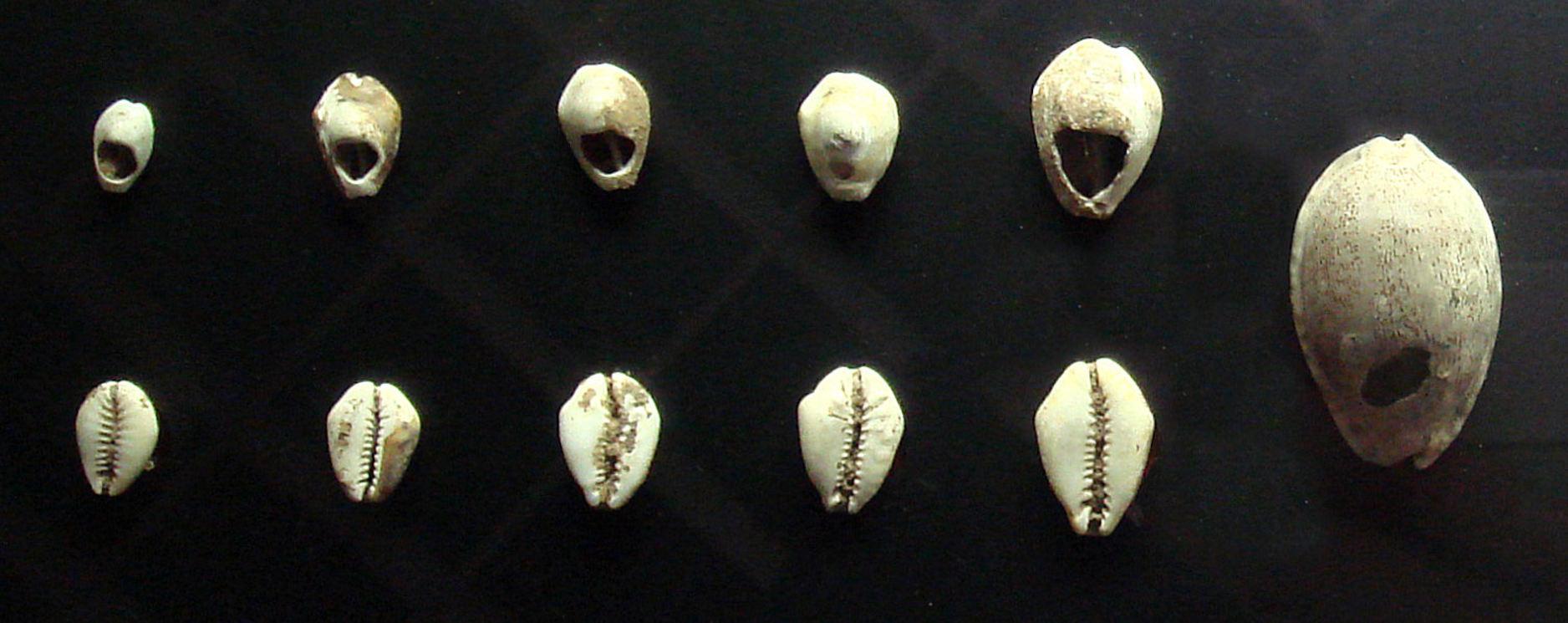 Chinese shell money from 3,000 years ago.