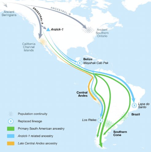 the-majority-of-central-and-south-american-ancestry-arrived-from-at-least-three-different-streams-of.jpeg