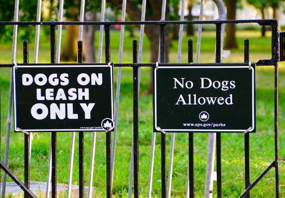 Leash laws