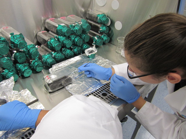 BioTech students sow the seeds for the Million Orchid Project.JPG