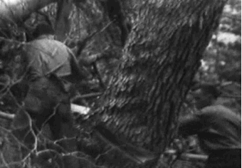 All the Livelong Day (ca. 1940s) - Imgur.gif