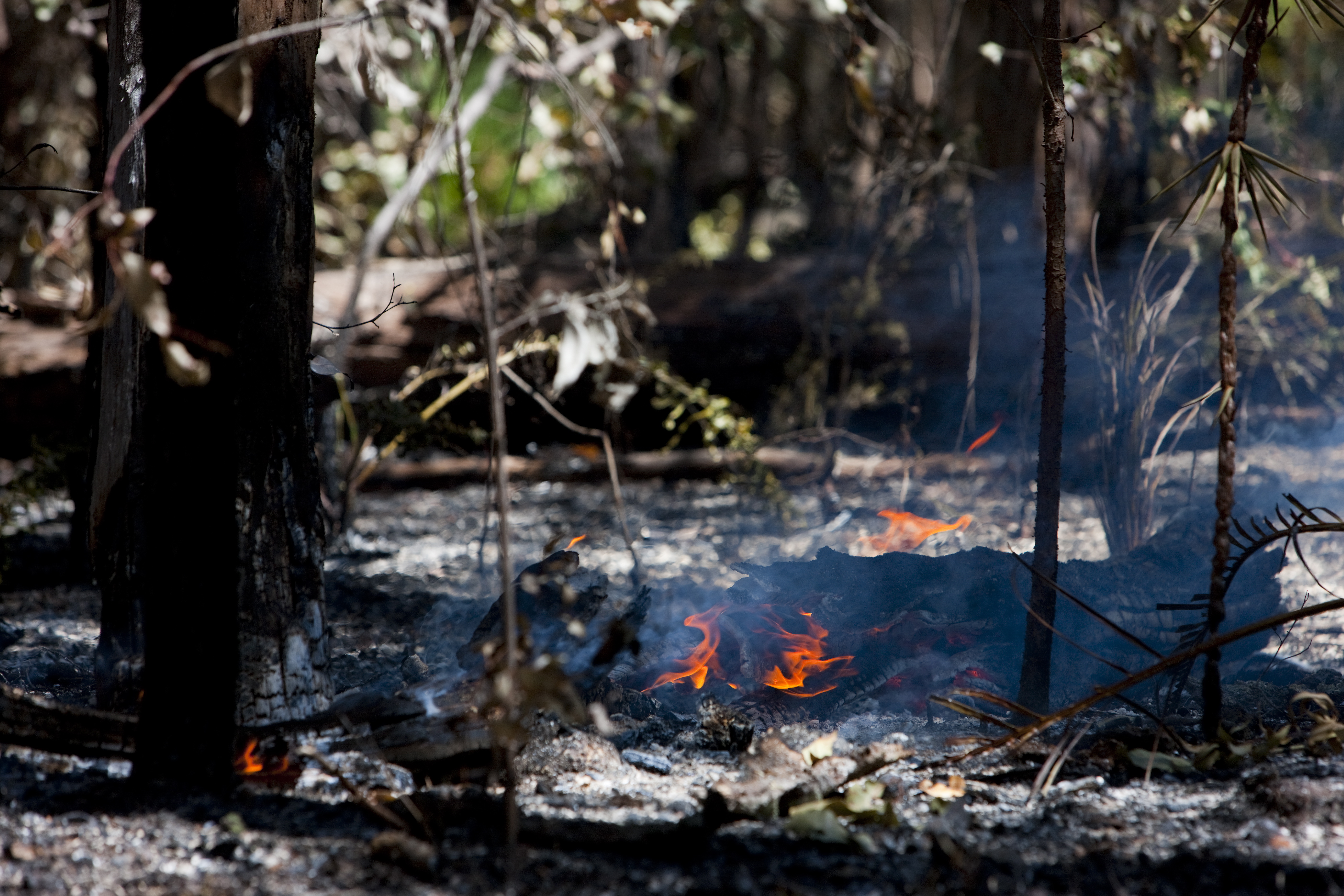 Australia Fire