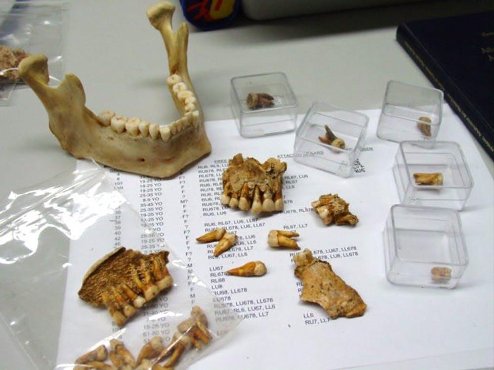 Iron and Bronze Age Teeth and Bones
