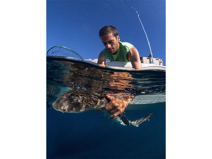 holding-shark.jpg