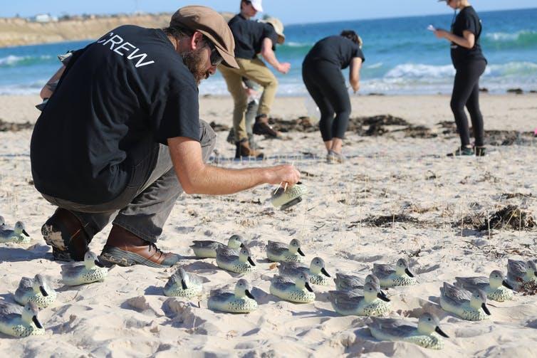 The scientists were assisted by many volunteers